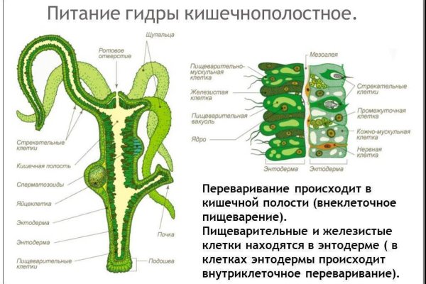 BlackSprutruzxpnew4af onion вход