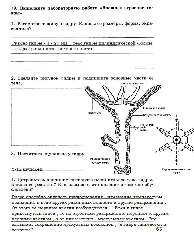 Кракен даркнет вход