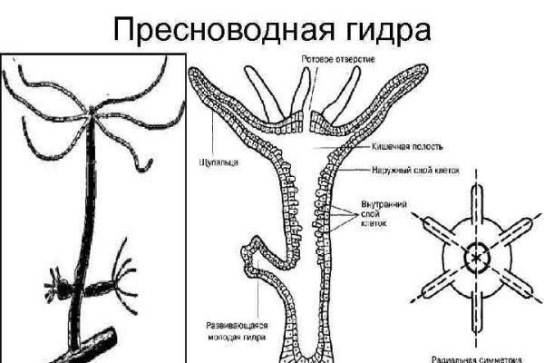 Kraken маркетплейс